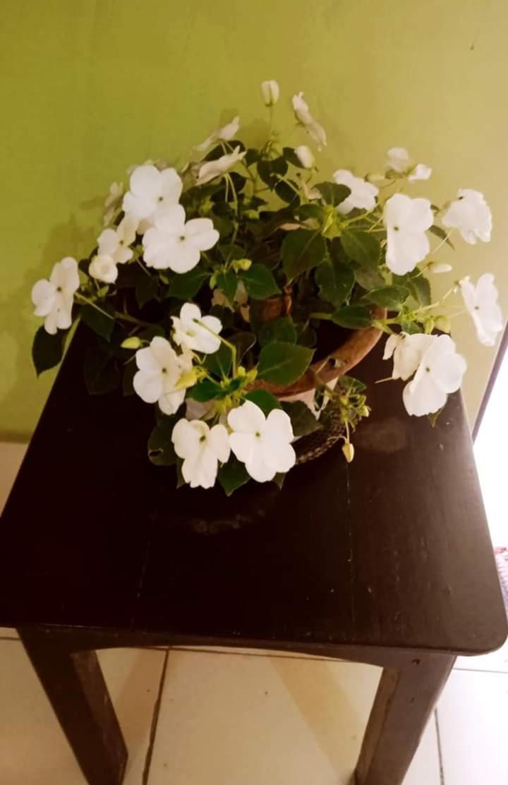 Bhoboghure Homestay Santiniketan Болпур Екстериор снимка