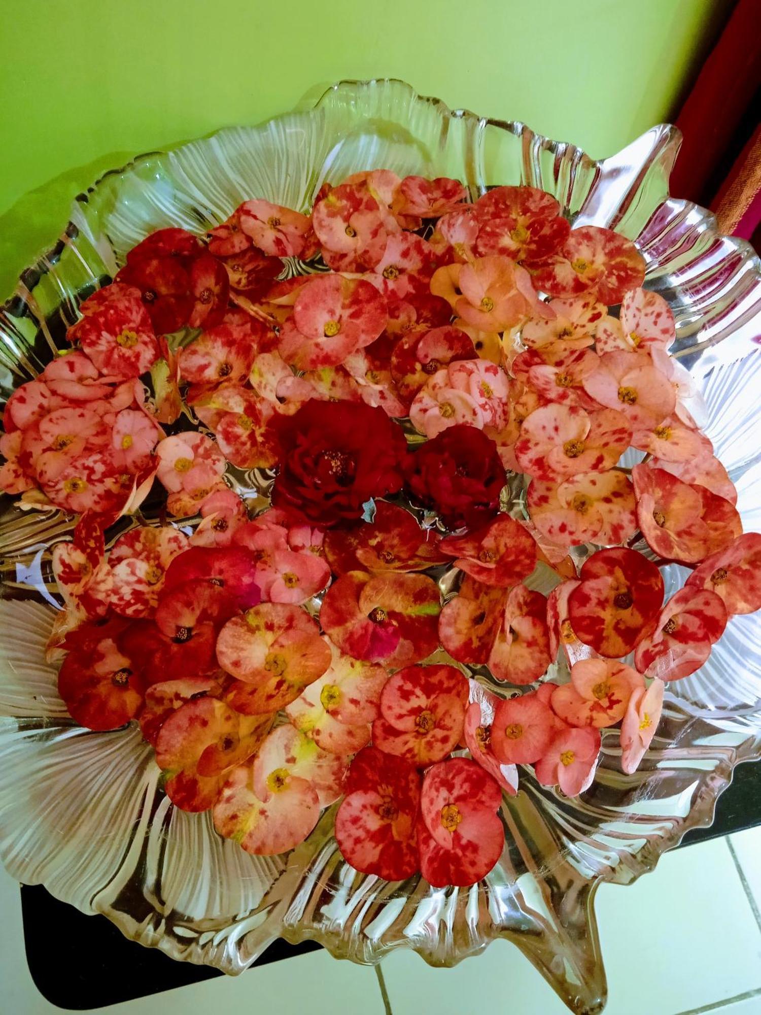 Bhoboghure Homestay Santiniketan Болпур Екстериор снимка